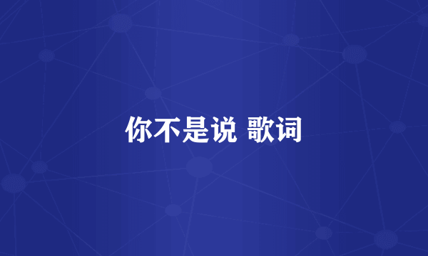 你不是说 歌词