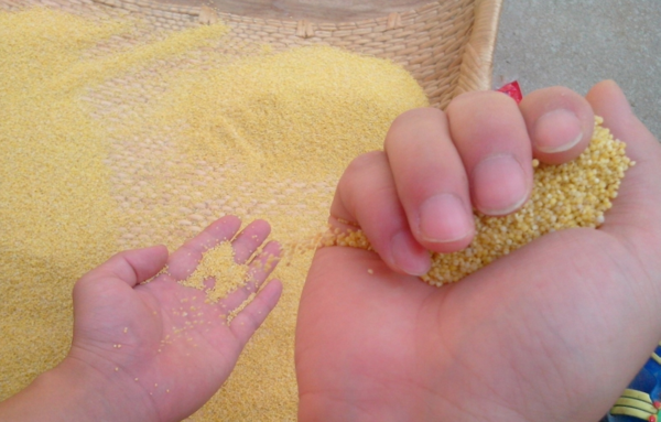 如果小米里有虫子能吃吗