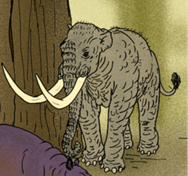 欧洲矮象的介绍