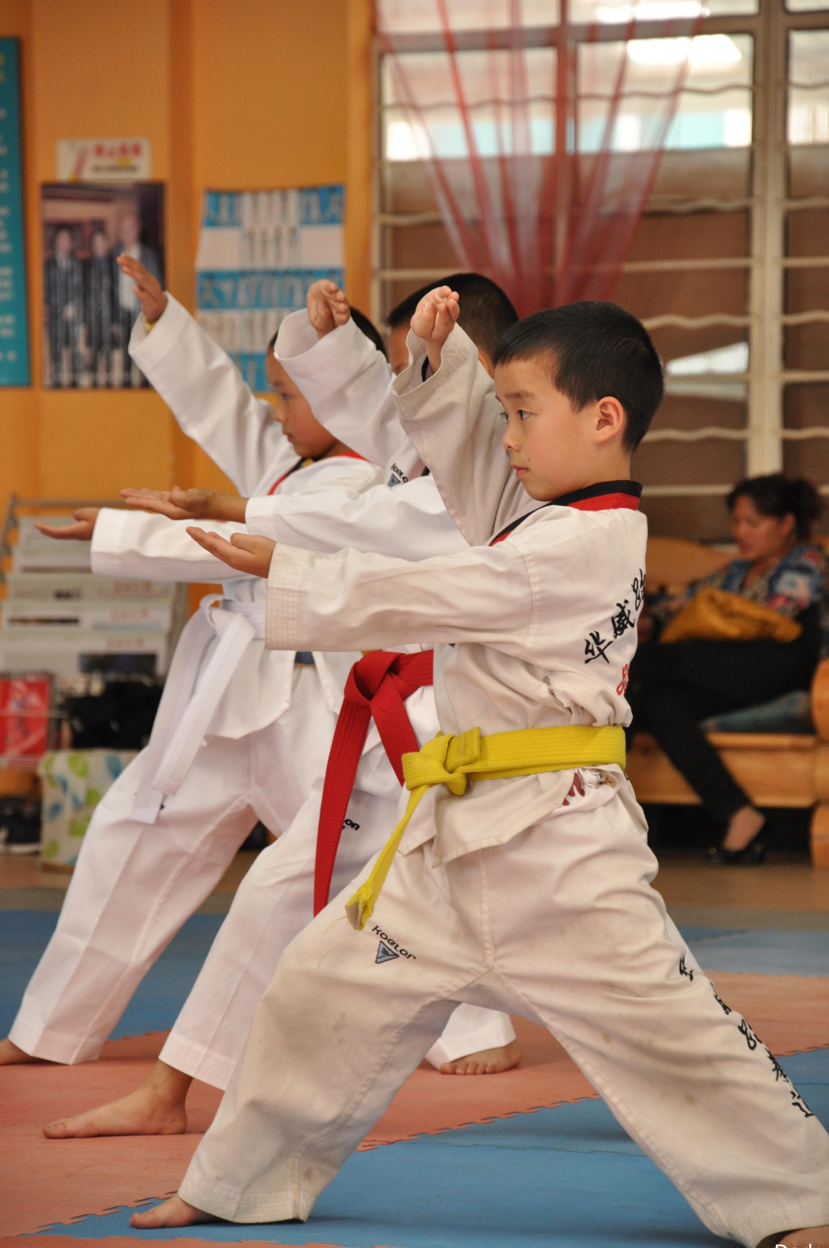 世界跆拳道联盟的赋予的“黑带九段”称号是种怎样的荣誉？