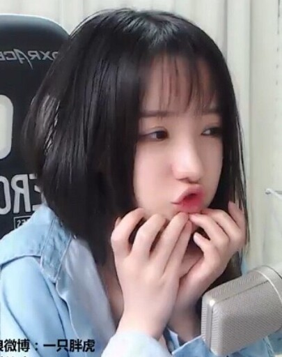 一只胖虎 黑历史 什么来由?