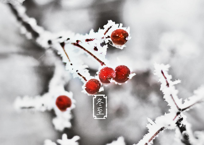 关于冬至诗句有哪些