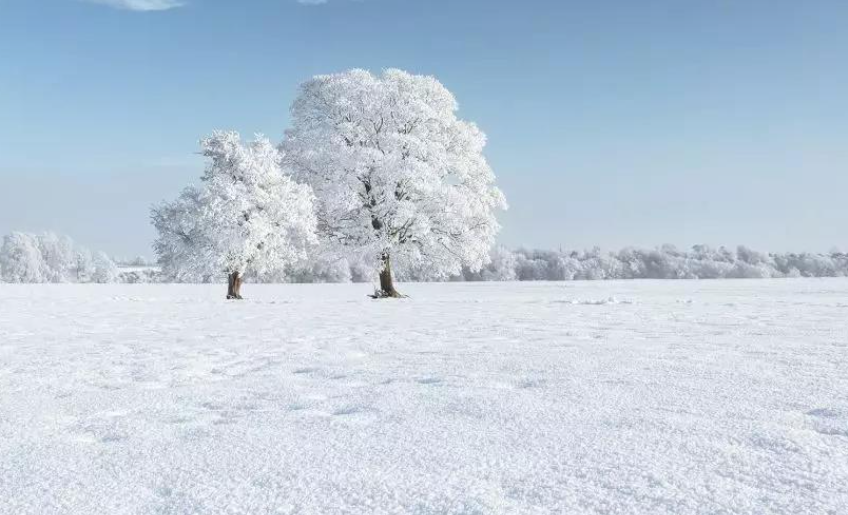 赞美雪的诗句有哪些？