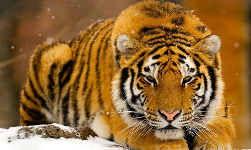 1998年5月13日出生是几岁?