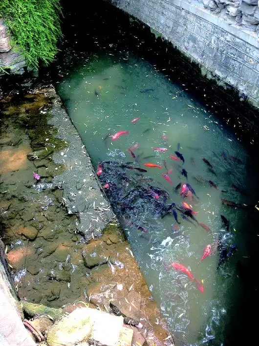 重庆一村庄河水冒泡竟然能点燃!为什么?这是咋回事?