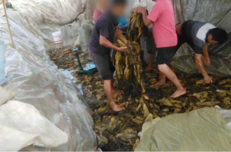 315晚会几点开始