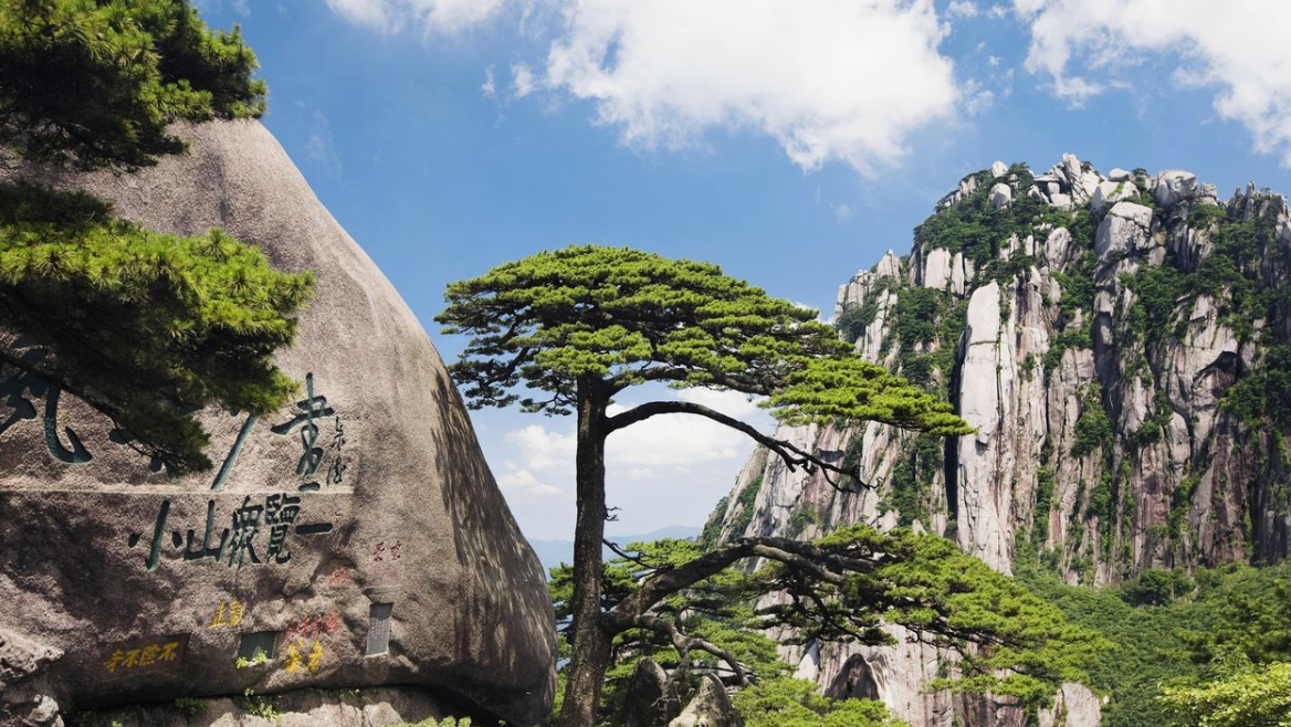 用流连忘返造句，流连忘返怎么造句