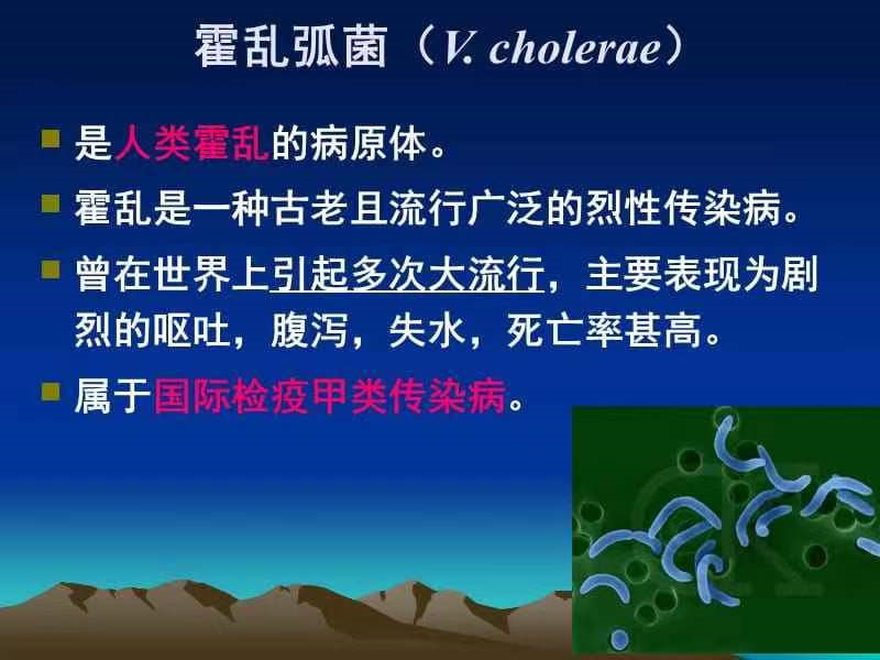 霍乱病毒是什么?我国在什么时候曾发生过霍乱病毒?