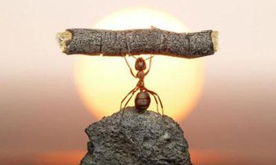 励志词有哪些？