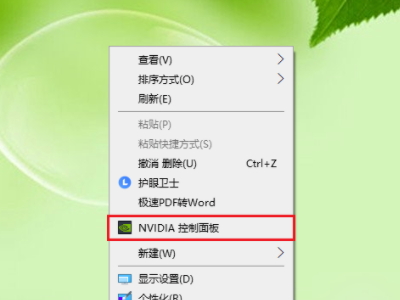 Nvidia控制面板打开后没有【显示】这一选项