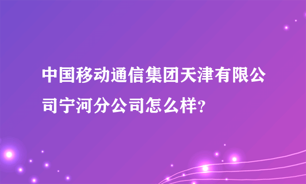 中国移动通信集团天津有限公司宁河分公司怎么样？