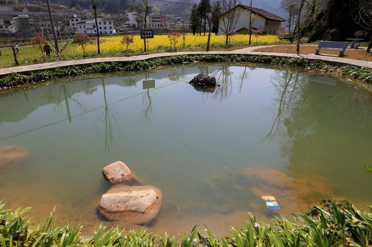 什么的池塘怎么填写？