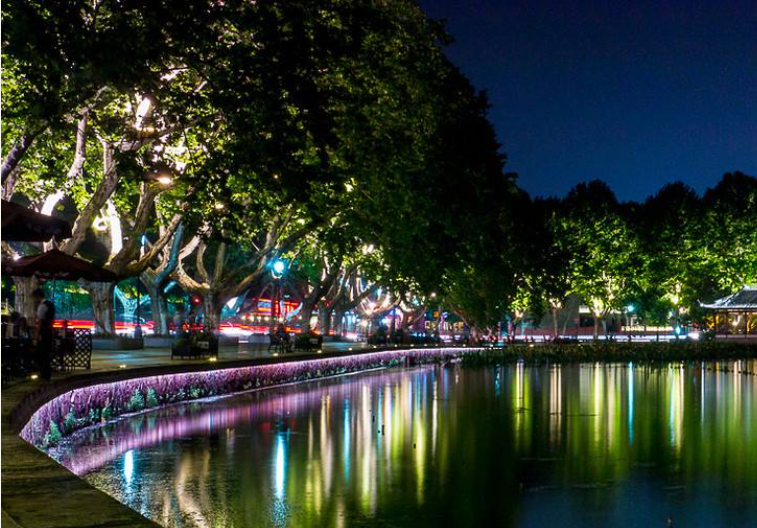 我喜欢夏天的夜晚写一段话？