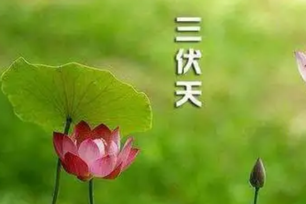 2021年三伏天时间表