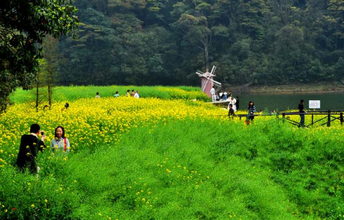 清明节传统文化知识有什么?