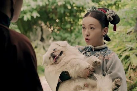 《延禧攻略》魏璎珞的扮演者是谁？