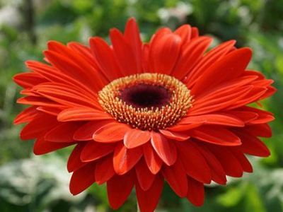 三八妇女节简短主题有什么？