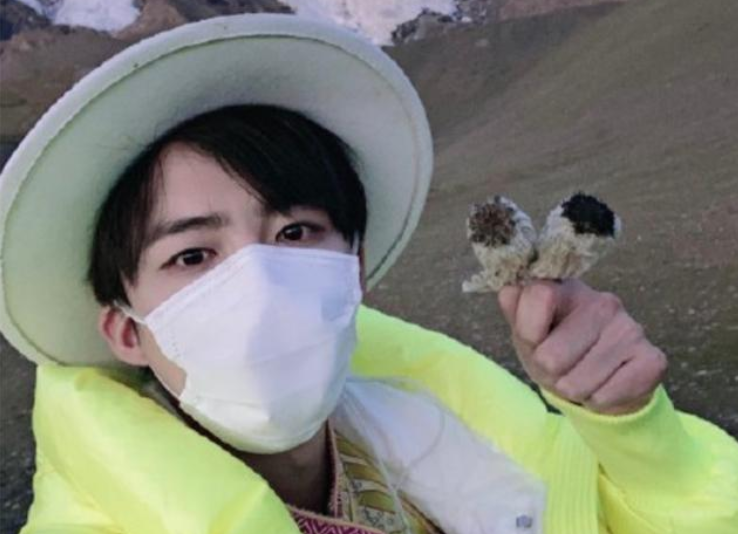 《极限挑战》哪个嘉宾摘国家二级保护植物？