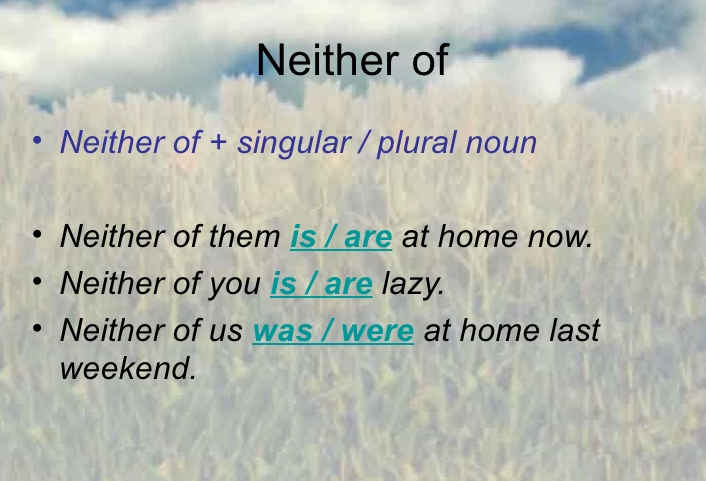 neither of谓语动词用单数还是复数？