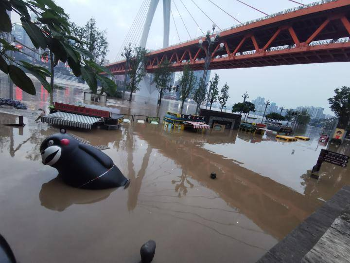 重庆还有一只熊本熊在漂流，熊本熊是从哪里来的？