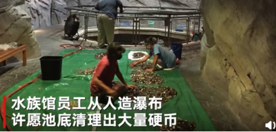 资金告急许愿池救急，你用硬币许愿过吗？