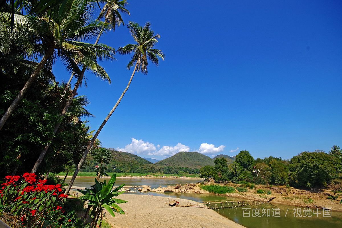 为什么说熬夜会长胖？