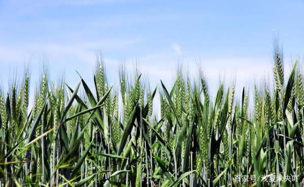 2021什么时候打春几点