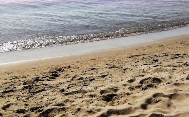 中国的黄金海岸在什么地方？那里有哪些好玩的东西吗？