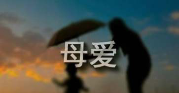 我尝到了母爱的滋味作文