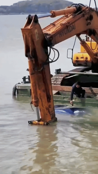 苏州一轿车坠湖，两工人用挖掘机接力救人，是什么引发了这起事故？