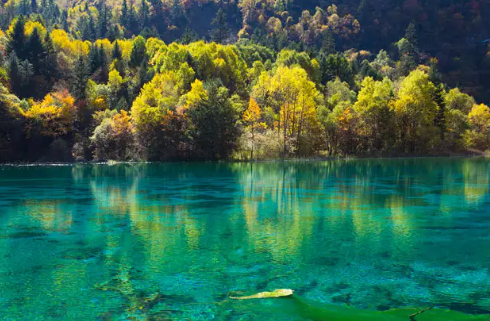 去九寨沟旅游要多少钱