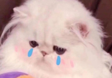 蚌埠住了什么梗?怎么读?