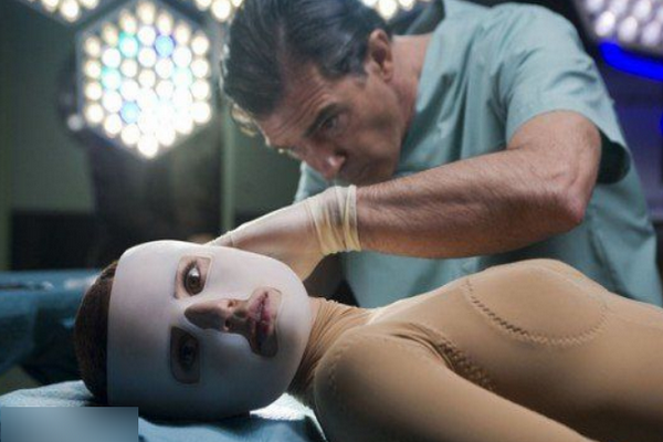 吾栖之肤的介绍