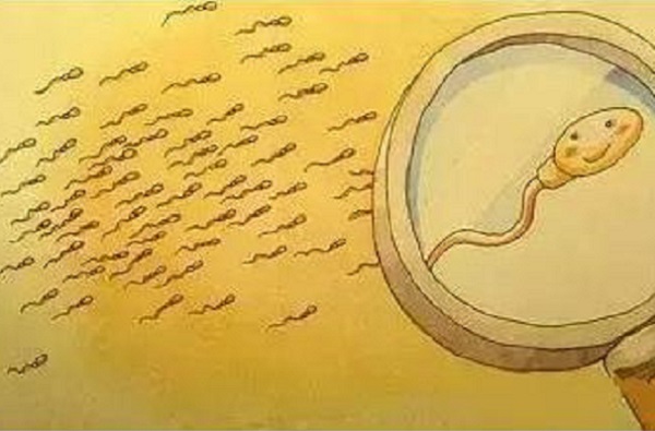 精子变黄是什么原因？