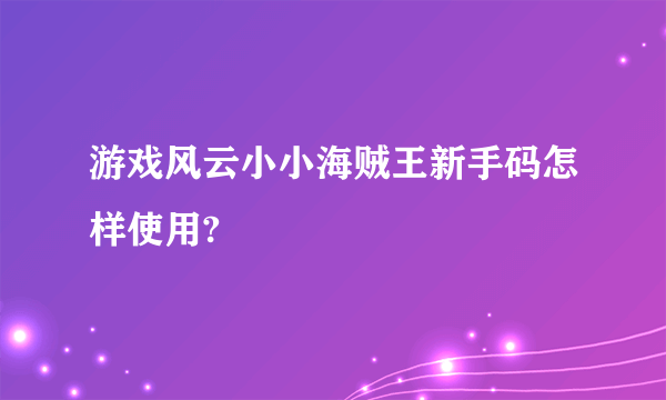 游戏风云小小海贼王新手码怎样使用?