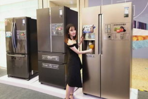 电冰箱排名前十名的品牌