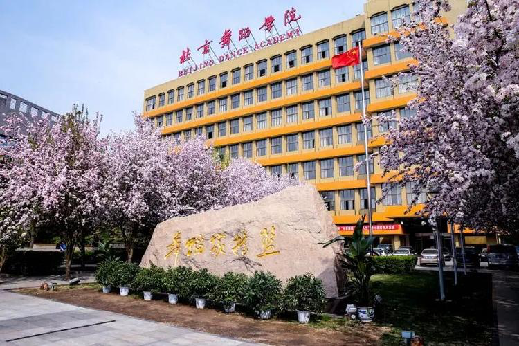 北舞艺考女生要求