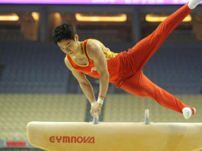 竞技体操男子项目有哪些?