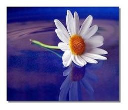 老是胡思乱想怎么办?