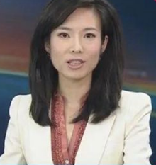 新闻联播继潘涛后又迎来了哪位主持人?有何背景?