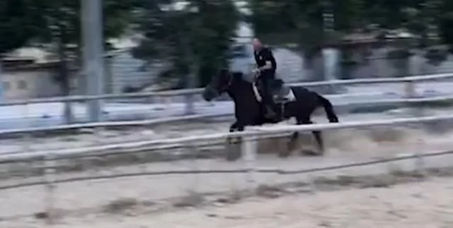 三男子骑马冲入海中救下男孩，三男子是不是该被表扬嘉奖？