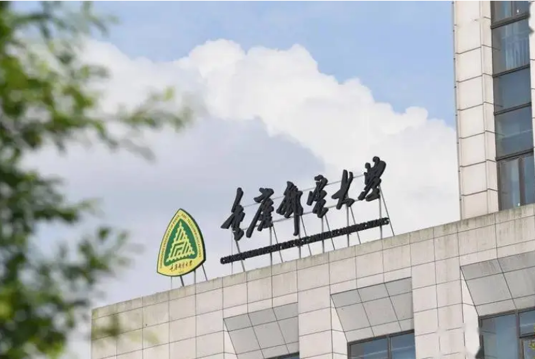 重庆名校排行榜前十名