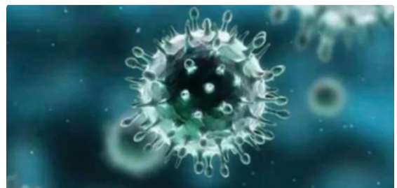 2019-ncov是什么意思