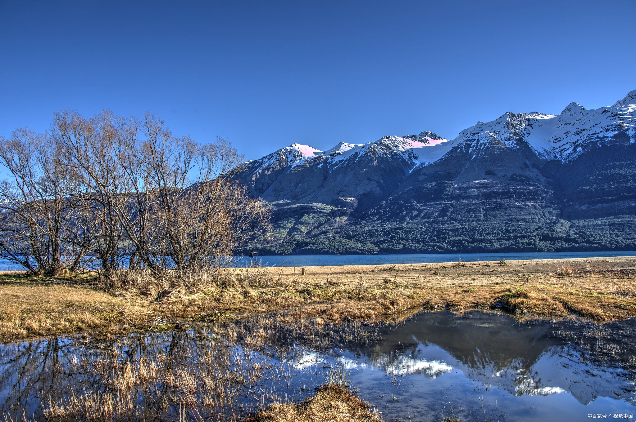 新西兰研究生留学需要多少费用？英国留学第一年的留学费用大概是多少？