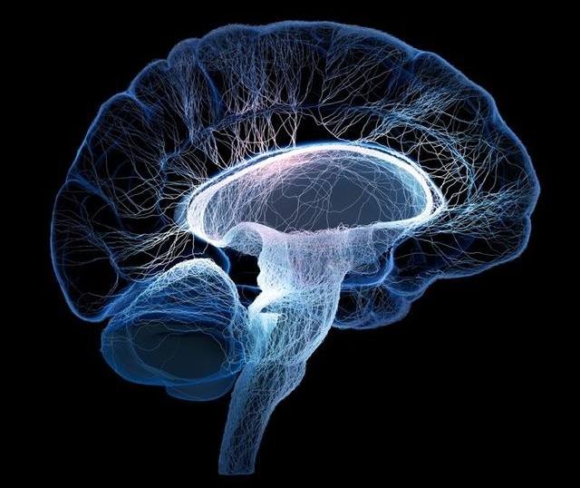 全世界最长寿人的年龄是多少?