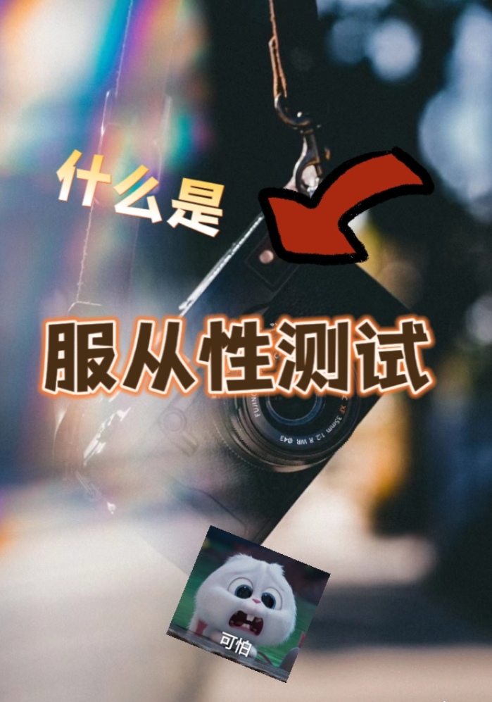 什么是服从性测试