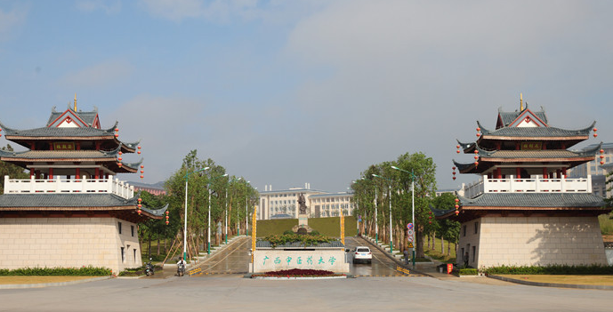 广西有什么大学