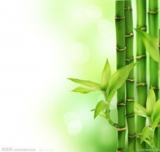 “竹子”的拼音是什么？