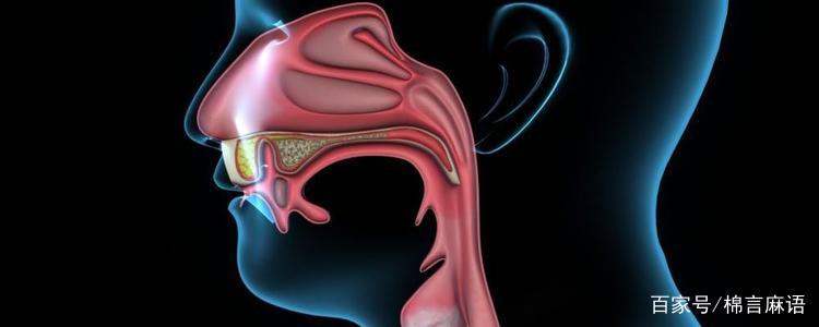 慢性咽喉炎吃什么药最好