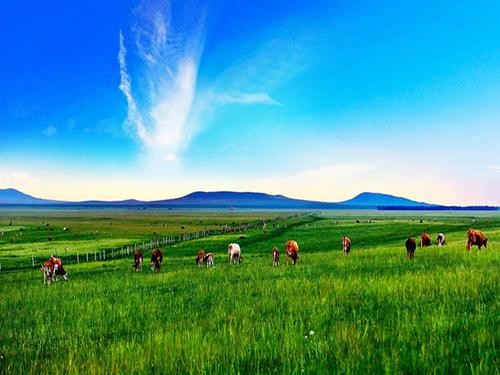 《植物妈妈有办法》课文原文